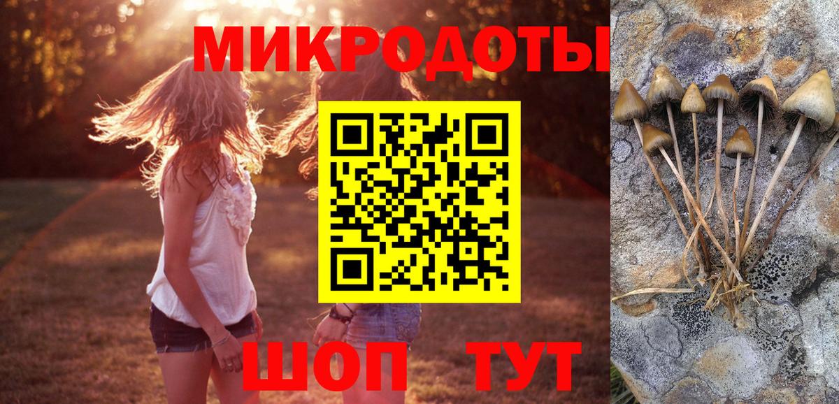 Галлюциногенные грибы Cubensis Дедовск